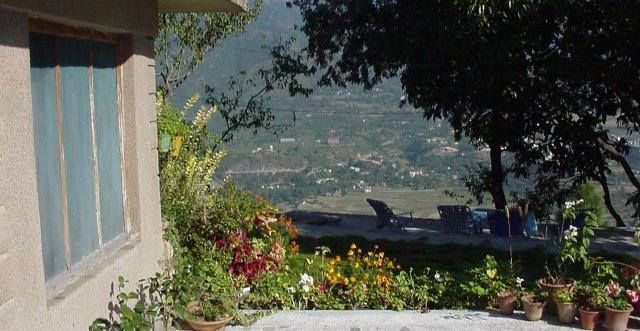 IvyTop Resort